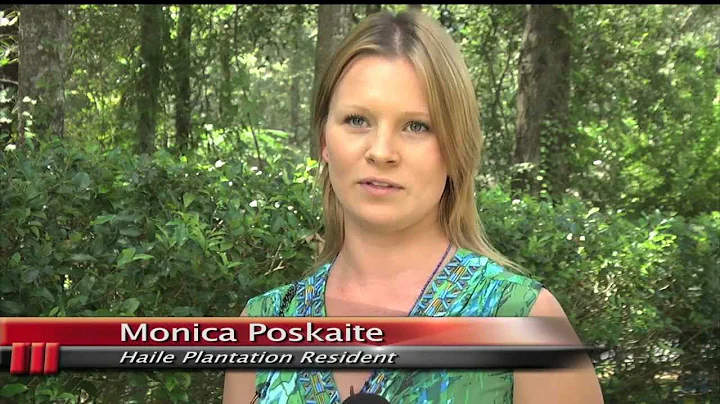 TV 20 News At 6 7/17/2012