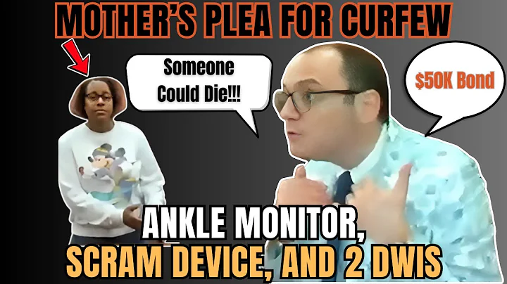 DUI Defendant Denied Driving Privileges After Shocking 0.29% Breath Test Results | #judgefleischer