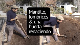 Mantillo, lombrices y una huerta renaciendo