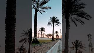 Beautiful Saudi Arabia