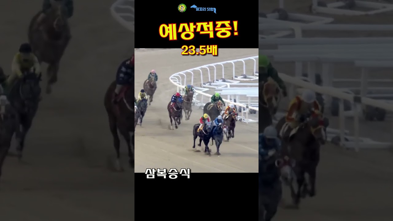말꼬리 AI경마 예상적중! 23.5배 1월10일 서울9경주 삼복승식#ai경마 #horse #경마 #경마예상 #경마예상지