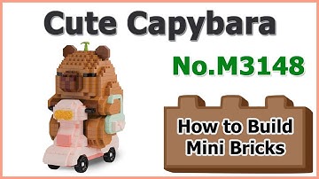 How to Build Mini Blocks Capybara M3148 Review Instructions Specifications