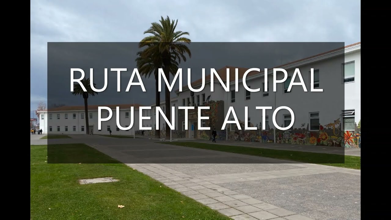 Ruta Municipal Nro.2 de Pte. Alto (Ejercito Libertador/Luis Matte)