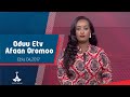 Etv Oduu Etv Afaan Oromoo Ebla 04 2017 6 00 Ebc Etv Afaan Oromoo Oduu Etv Afaan Oromoo Ethiopia Etv Oduu Etv Afaan Oromoo Ebla 04 2017 6 00 Ebc Etv Afaan Oromoo Oduu Etv Afaan Oromoo Ethiopia