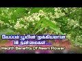 Top 10 benefits of neem flower   most important benefits of neem flower in tamil 