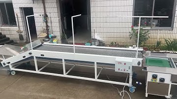 cherry tomato sorting machine, cherry tomato grading machine