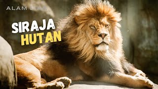Lion : Fakta Unik Singa yang Jarang Diketahui - Alam Liar