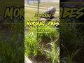 JUST ANOTHER #diml for you! #storytime #home #diy #yardwork #sahw #womenover40 #dailyvlog