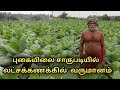 புகையிலை சாகுபடி || tobacoo cultivation in tamil || Uzhavan Magan