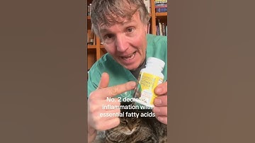 Cat scratching his face and neck? Likely a Food Allergy- 3 steps to stop it now!