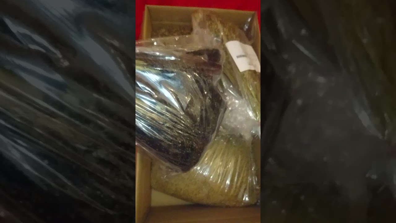 Körnerbude Haul Auspacken Hamster