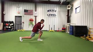 Forward/Reverse Lunge Combo