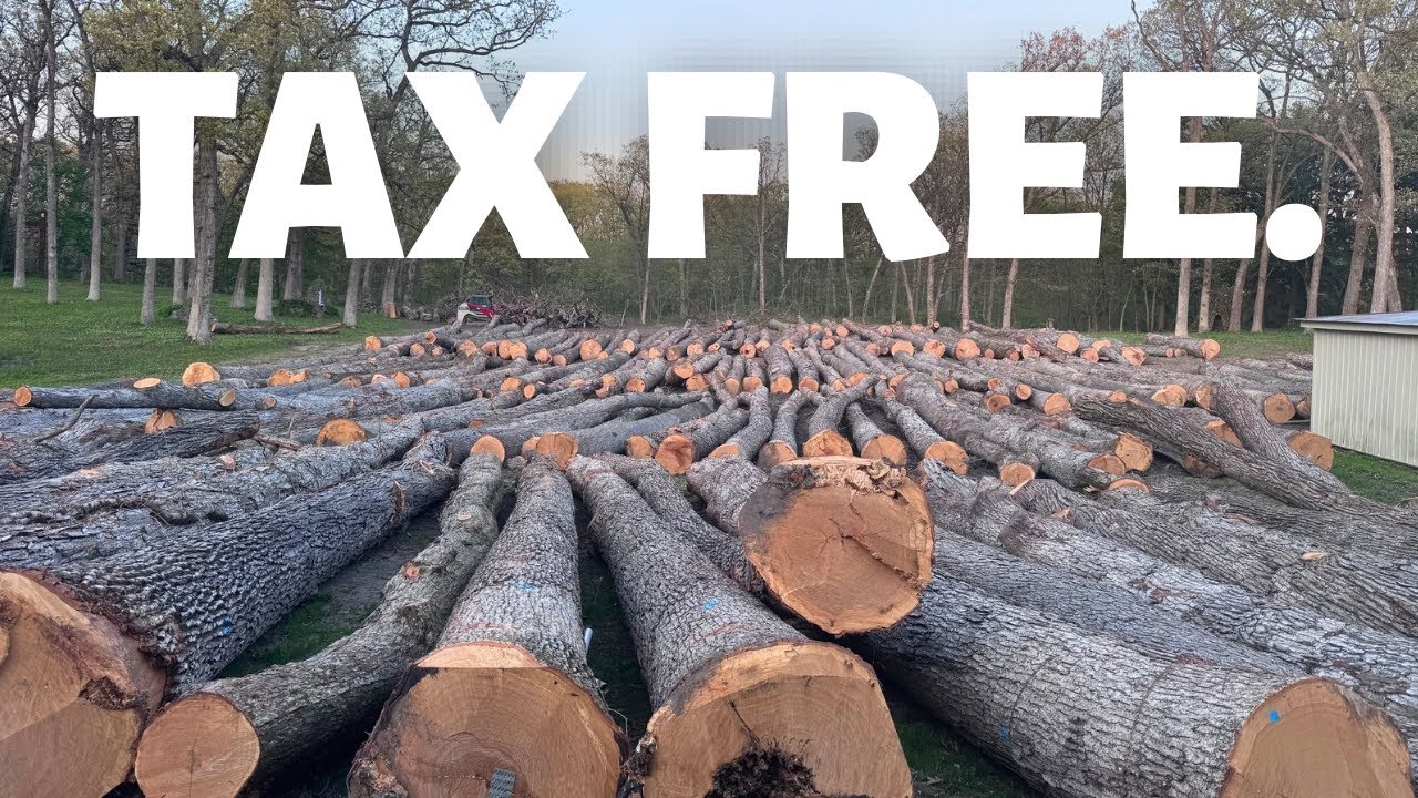 Timber tax basis | Save thousands