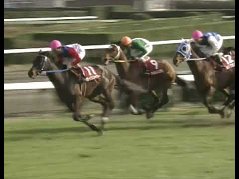 ライスシャワー 1993年 第41回日経賞(GII) (優勝馬：ライスシャワー)