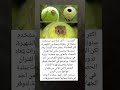 أكثر من 55 ألف كرة تنس ت ستخدم سنوي ا في بطولة ويمبلدون الشهيرة لكن المفاجأة بعض هذه الكرات ي عاد أكثر من 55 ألف كرة تنس ت ستخدم سنوي ا في بطولة ويمبلدون الشهيرة لكن المفاجأة بعض هذه الكرات ي عاد