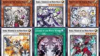 【遊戯王ADS/YGOPRO】白き森の妖魔ディアベル【白き森のいいつたえ】