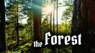 Norwegian Nature | Cinematic Short Film | Shot in LOG |
