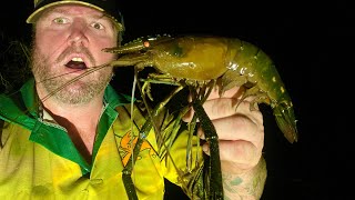 Giant Freshwater Prawns Catch And Cook #Cherabin