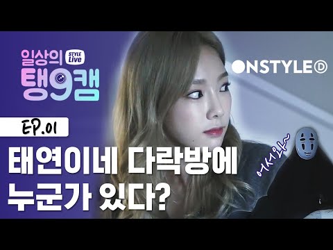 태연이가 무서워 뒷걸음질 친 이유? [일상의 탱구캠] EP.1