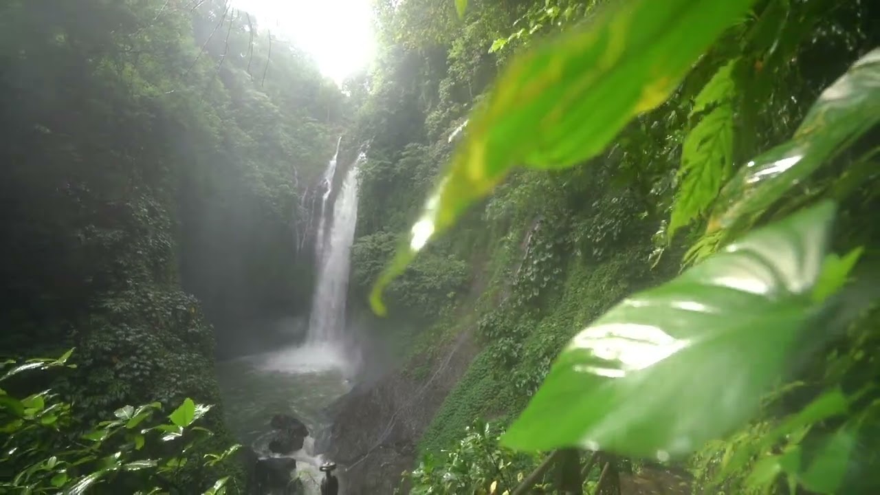 Relaxing Sound of Rainforest Waterfall for Deep Sleep | 1 Hour of Waterfall Brown Noise 🌊