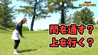 2本の松の木が行方を阻む！！間を通す？上を行く？[第4回ringolfフューチャーズト