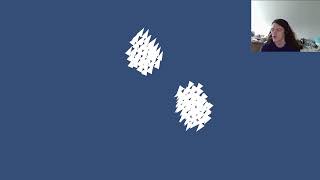 Emergent Behaviour: Boid Simulation