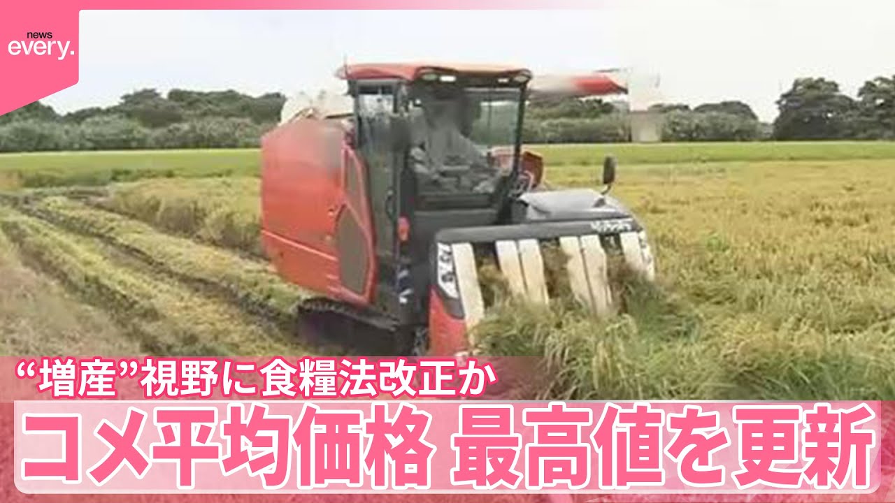 【コメ】“増産”視野に食糧法改正か コメ価格は“過去最高値”更新 - YouTube