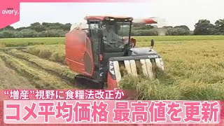 コメ】“増産”視野に食糧法改正か コメ価格は“過去最高値”更新 - YouTube