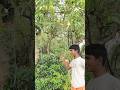 YouTube wala magic✨ nahi nua to bhai apnamobile fodane laga #viralvideo #magic #shortvideo #viral ￼
