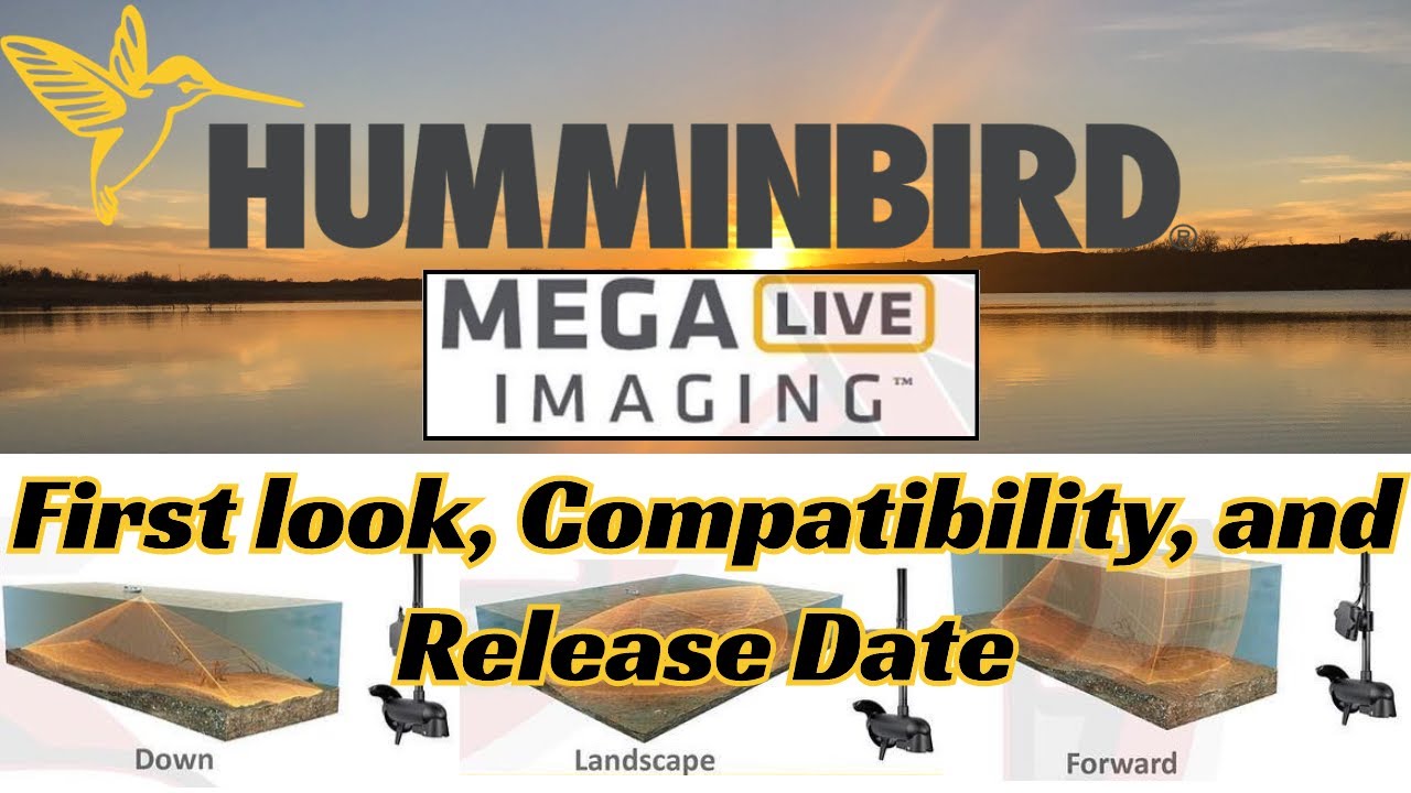 early-reveal-of-humminbird-mega-live-imaging-humminbird-s-garmin