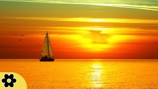 8 Hour Relaxing Sleep Music, Calm Music, Soft Music, Instrumental Music, Sleep Meditation, ✿3209C