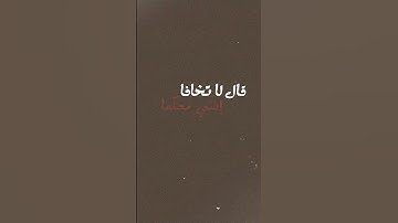 قال لا تخافا انني معكما اسمع وارئ l قران كريم ا ايات قرانية l صوت جميل ورحه نفسيه l اسلام صبحي . 🤍✨