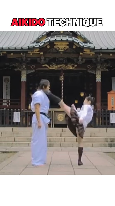 Aikido technique from roud kick🥋 #aikido #mma #karate