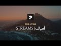 Noor arjoun x selimarjoun  feat dhalma   streams l  chillysia remix