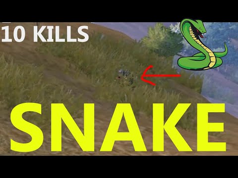 pubg-|-fight-with-snake-|-hotdrop-|-solo-|-with-meme