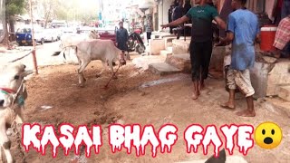 EID UL ADHA | DANGEROUS COW QURBANI | KHATERNAK COW QURBANI  2023