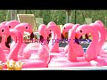 Flamingo Party 2020