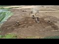 Two Operator Bulldozer Push Sand To The Mud, A Lot Dump Truck Unloading sand!