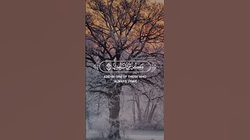 #القرآن #القران الكريم #راحة نفسية #تلاوات خاشعة #اسلام #اسلاميات #اكتب شي تؤجر عليه