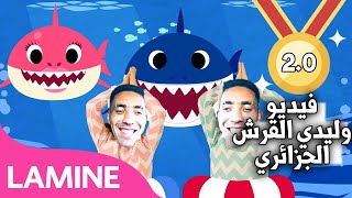 WLIDI EL 9IRCH (Algerian Baby Shark)