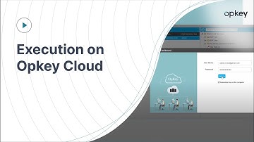 Execution on Opkey Cloud