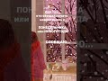 читай первый комментарий #2024 #новаяжизнь #понедельник #онлайнработа #длятебя #бизнес #атоми