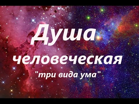 Элементы души 2 Ум и разум Сущность душевной жизни Н.Е. Пестов