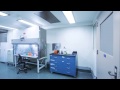 Biological Safety Cabinet (BSC):  How it Works to Protect You