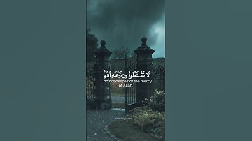 سورة الزمر ||عمر عبدالله
