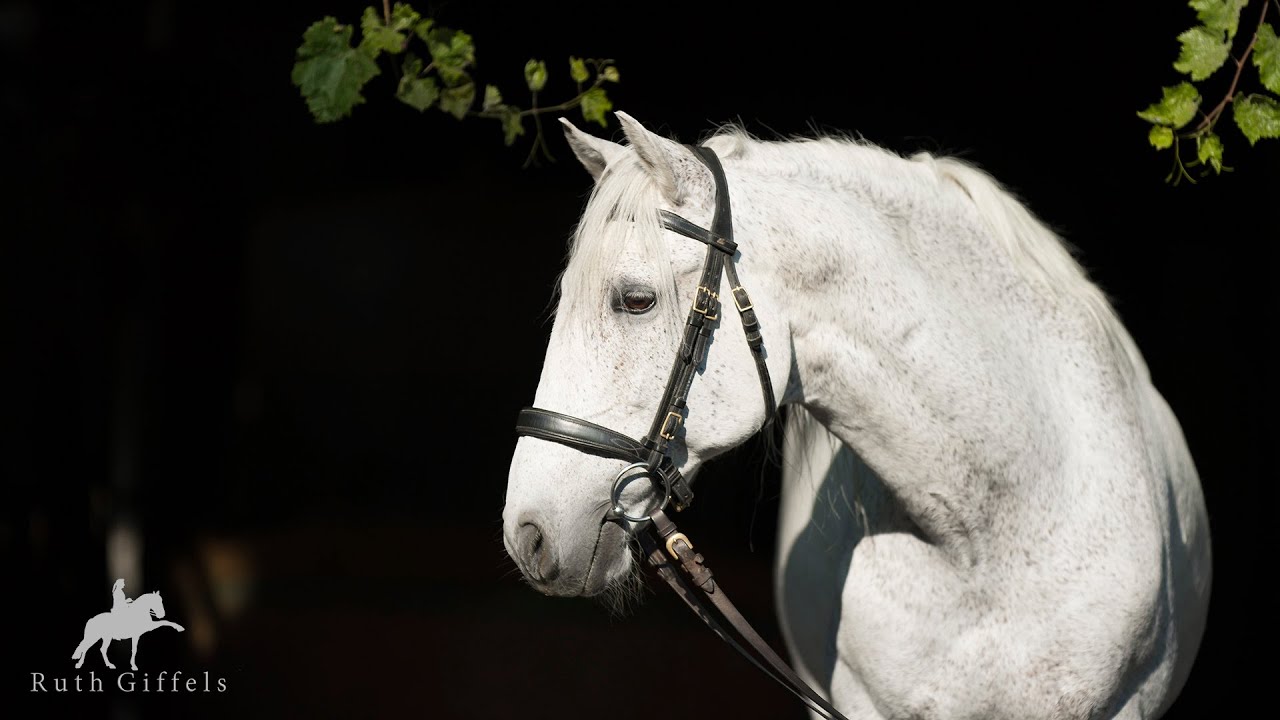 Ruth Giffels & Xeique