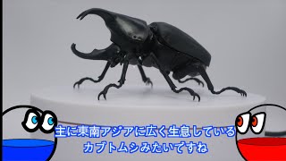 【ガチャガチャ】いきもの大図鑑かぶとむし03 全6種