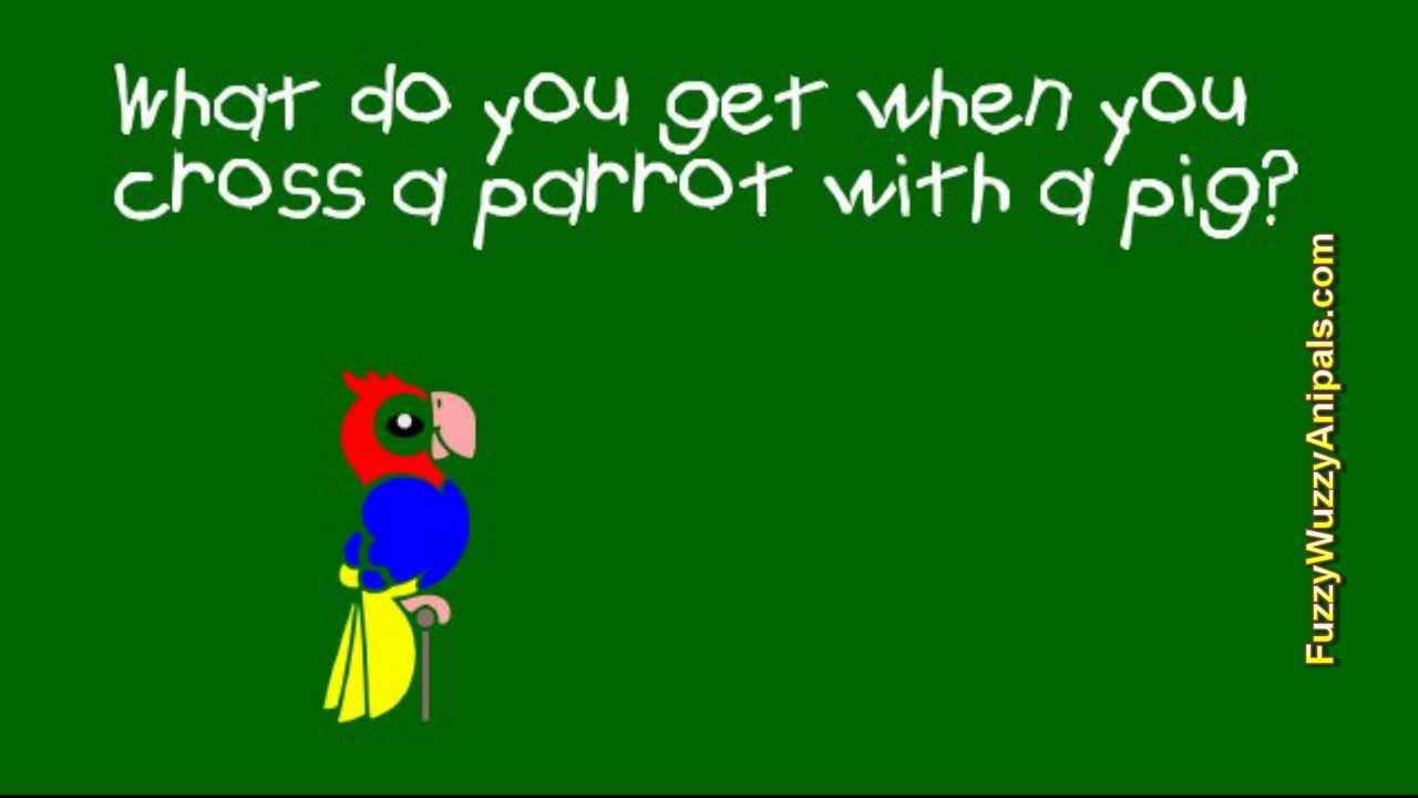 Kids Joke 71 Pig 