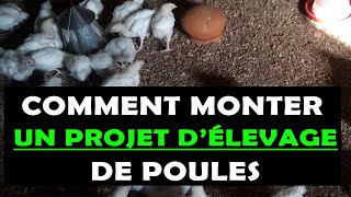 COMMENT MONTER UN PROJET D'ÉLEVAGE DES POULES