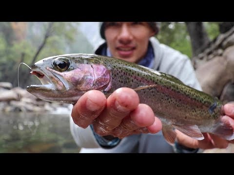 Rainbow Trout Fishing in a Super Clear River (California Sierras